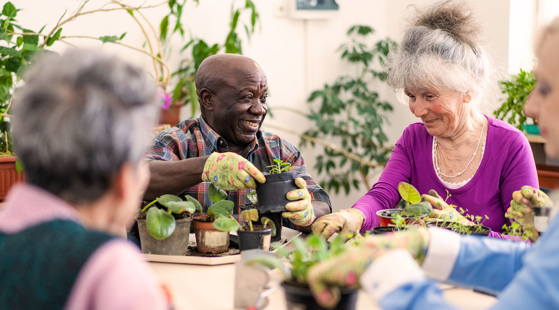 A group of seniors share a laugh on the porch of their senior living community in Marana.